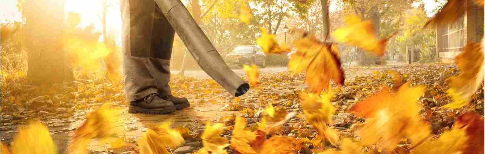 Herbst
